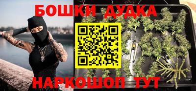 шишки Лесосибирск