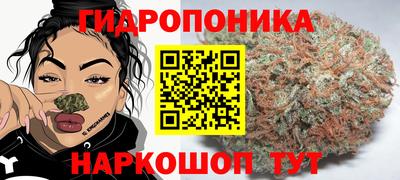 шишки Лесосибирск