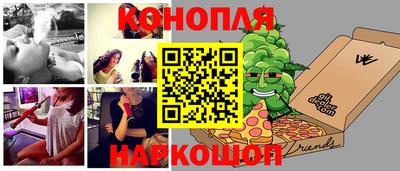 шишки Лесосибирск