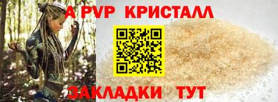 шишки Лесосибирск