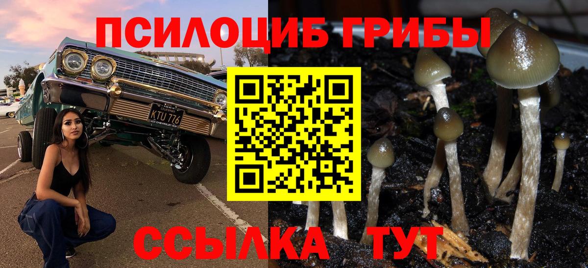 Галлюциногенные грибы GOLDEN TEACHER  Вход с VPN  магазин    Егорьевск 